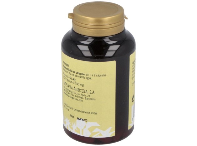Bilobis Plantis (Ext.Seco Ginkgo Biloba) 120Cap.