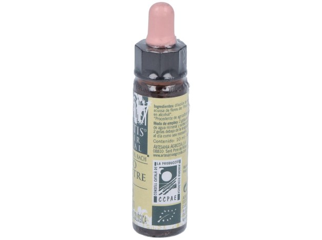 Pine Plantis Flores De Bach Nº 24 10Ml.
