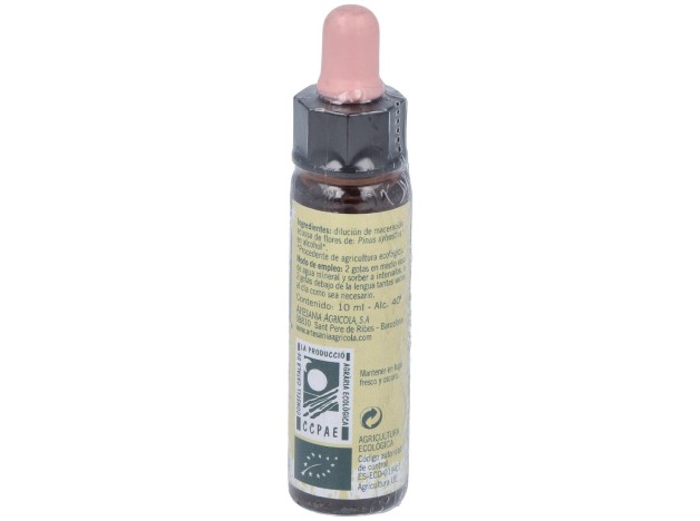 Pine Plantis Flores De Bach Nº 24 10Ml.