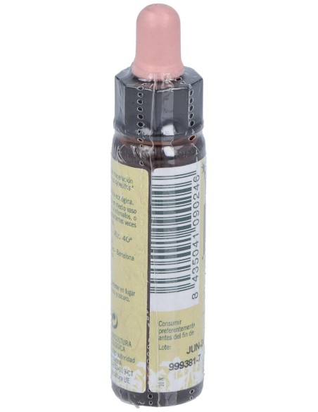Pine Plantis Flores De Bach Nº 24 10Ml.