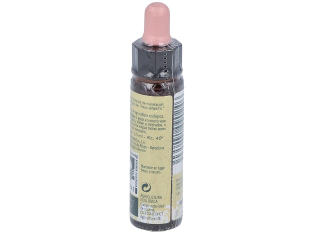 Pine Plantis Flores De Bach Nº 24 10Ml.