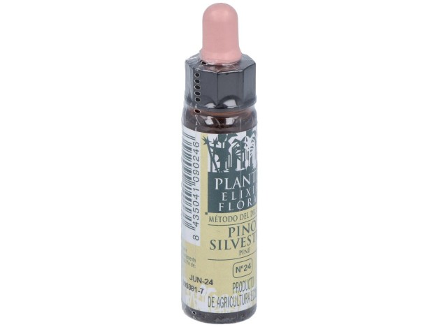 Pine Plantis Flores De Bach Nº 24 10Ml.