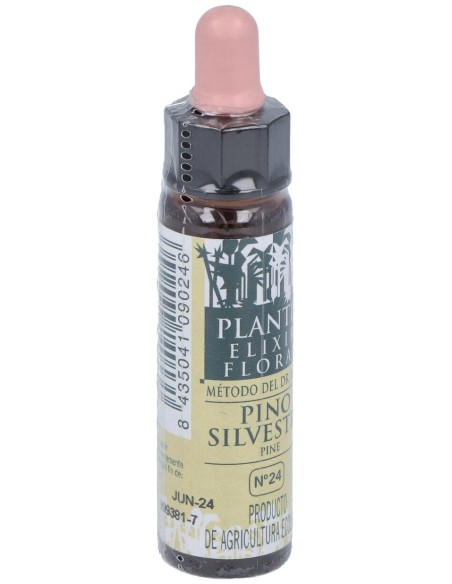 Pine Plantis Flores De Bach Nº 24 10Ml.