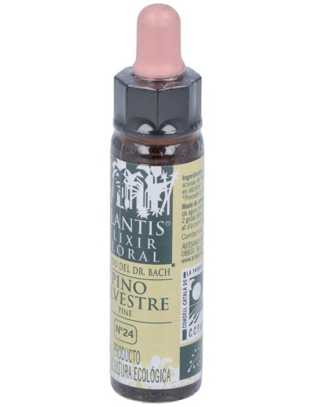 Pine Plantis Flores De Bach Nº 24 10Ml.