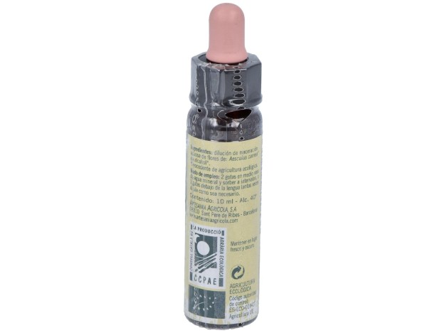 Red Chestnut Plantis Flores De Bach Nº 25 10Ml.