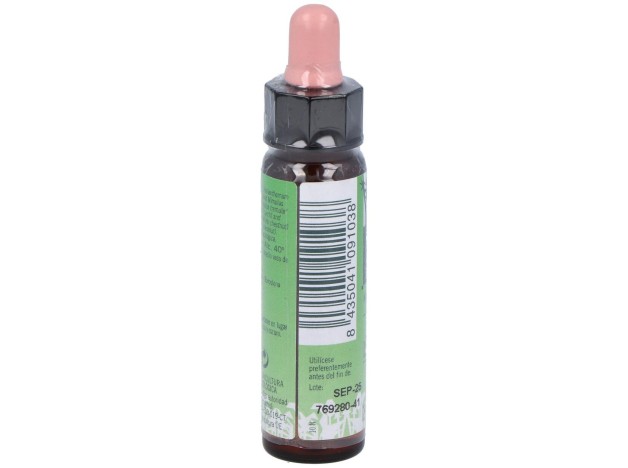 Remedio Plantis Nº 4 Temores-Inseguridades 10Ml.