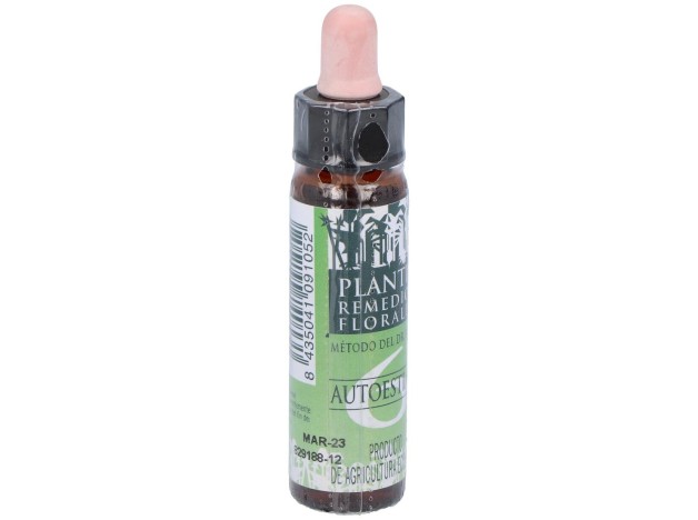 Remedio Plantis Nº 6 Autoestima 10Ml. Eco