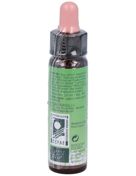 Remedio Plantis Nº 4 Temores-Inseguridades 10Ml.