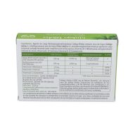 Ginkgo Biloba 6000Mg 30Cap – Circulación Mejorada | Oferta