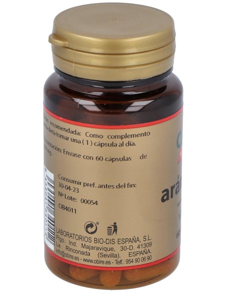 Arandano 1000Mg  60 Caps.