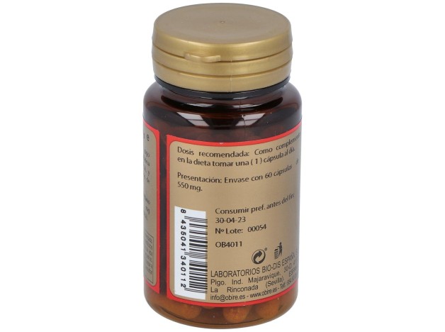 Arandano 1000Mg  60 Caps.