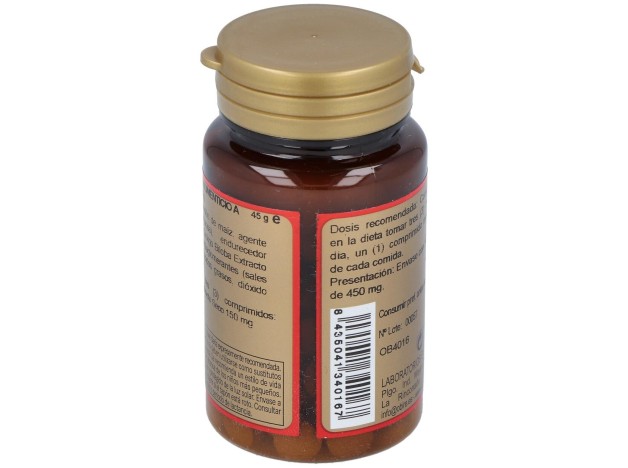 Obire Ginkgo Biloba 500Mg 100Comp