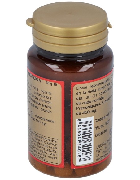 Obire Ginkgo Biloba 500Mg 100Comp