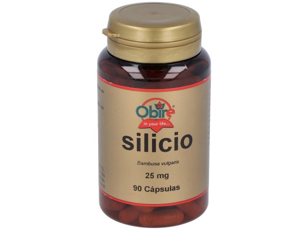 Obire Silicio 25Mg 90Caps