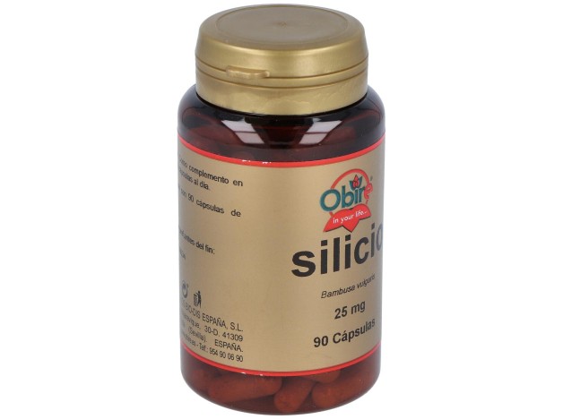 Obire Silicio 25Mg 90Caps