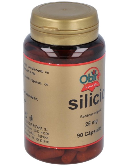 Obire Silicio 25Mg 90Caps