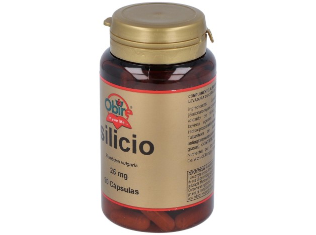 Obire Silicio 25Mg 90Caps