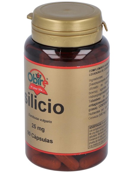 Obire Silicio 25Mg 90Caps