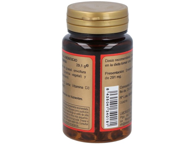 Obire Vitamina D3 4000Ui 100Caps