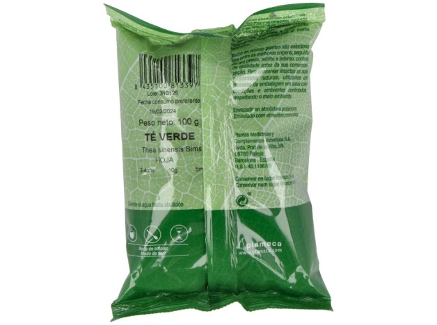 Te Verde Entero Bolsa 100Gr.