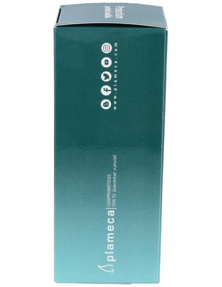 Protectium Pectoral Adultos Jarabe 250Ml.