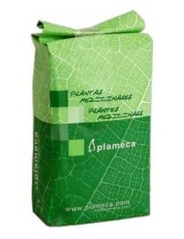 Plameca Ortiga Verde...