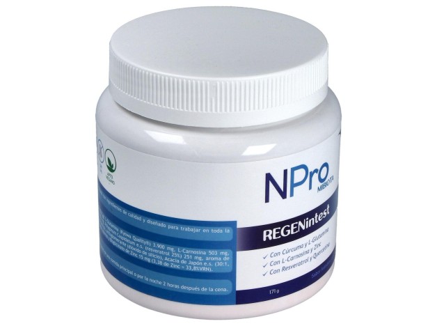 Npro Regenintest 171Gr.