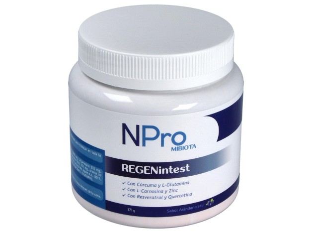 Npro Regenintest 171Gr.