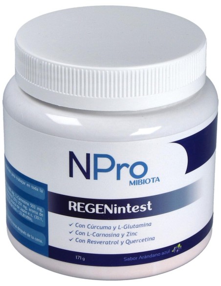 Npro Regenintest 171Gr.