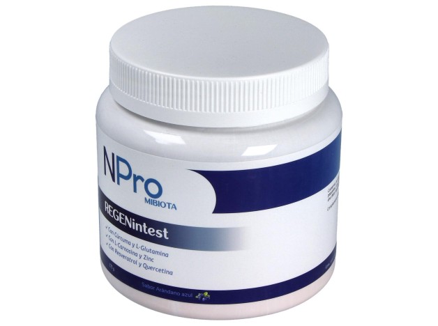 Npro Regenintest 171Gr.