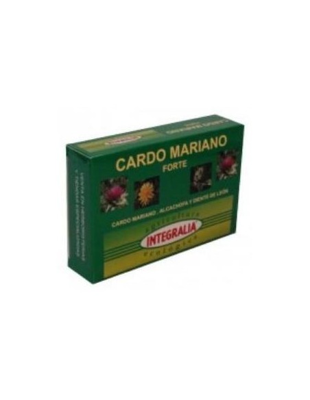 Cardo Mariano Forte 60C (Integralia)