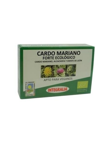 Cardo Mariano Forte 60C (Integralia)