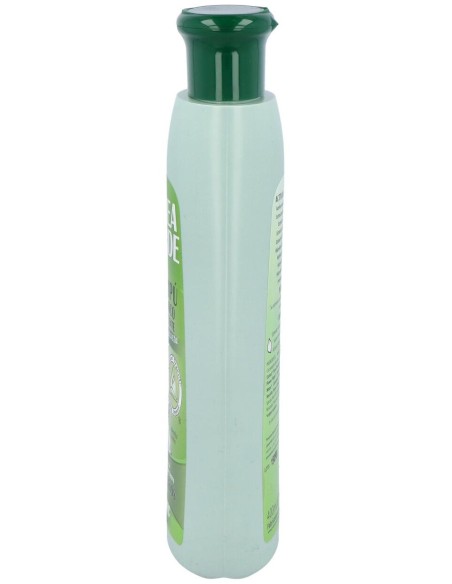 Linea Verde Champú Balsámico Uso Frecuente 400Ml