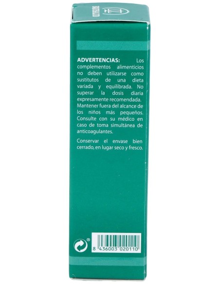 Pai-11 Holopai (Circulacion Cerebral)