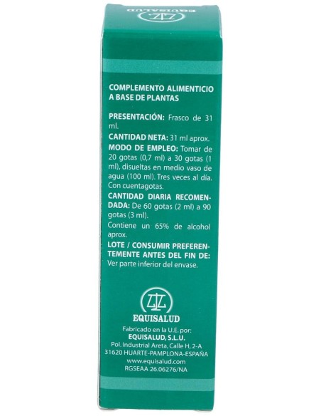 Pai-11 Holopai (Circulacion Cerebral)