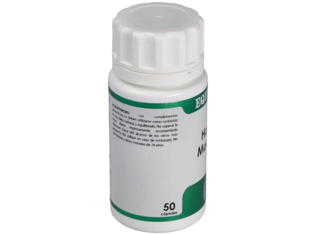 Holofit Moringa 50 Cápsulas