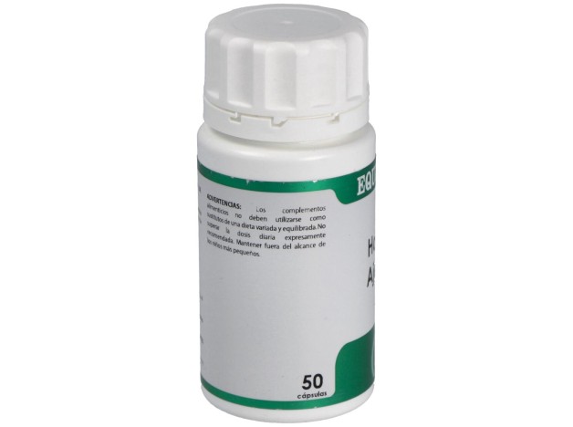 Holofit Ajenjo 50Cap.