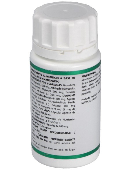 Holofit Grosellero 60Cap.