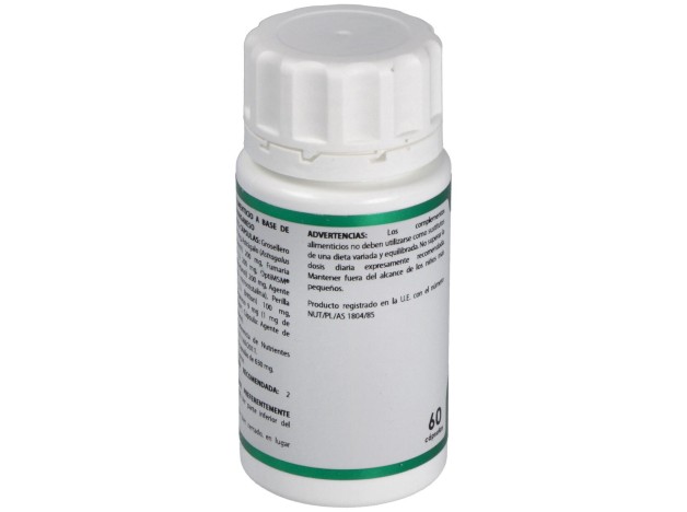 Holofit Grosellero 60Cap.