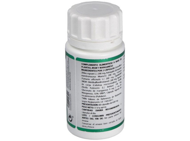 Holofit Grosellero 60Cap.