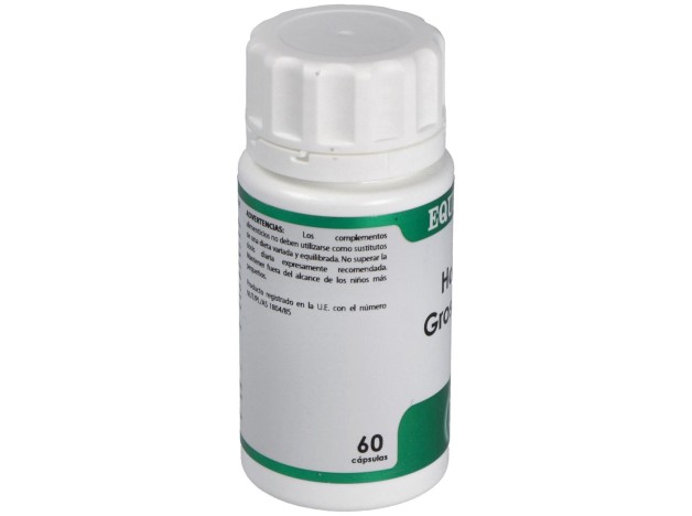 Holofit Grosellero 60Cap.