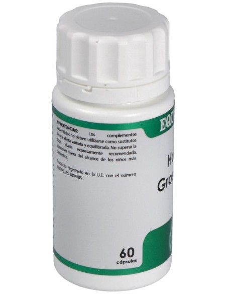 Holofit Grosellero 60Cap.