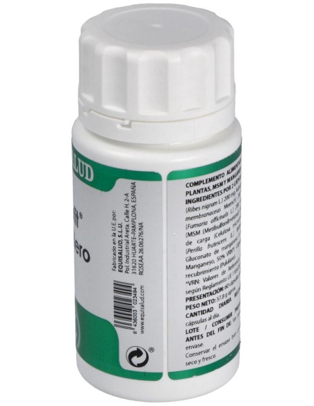 Holofit Grosellero 60Cap.