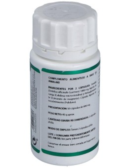 Holofit Ayurveda Amalaki...