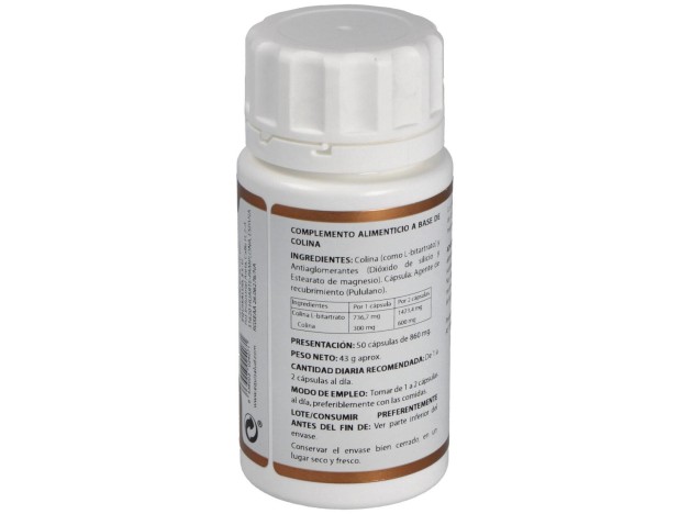 Holovit Colina 300Mg. 50Cap.