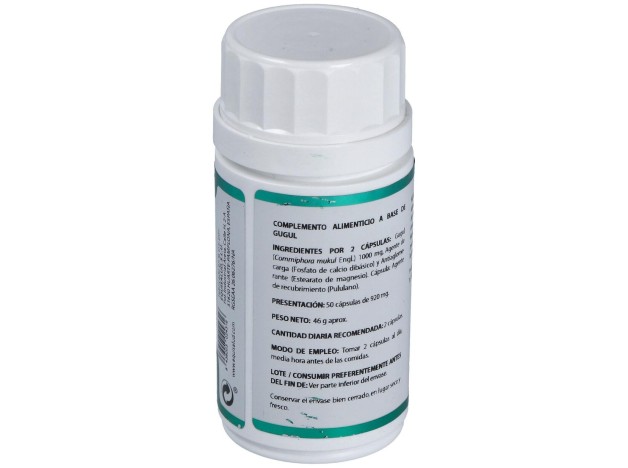 Holofit Ayurveda Guggul 50Cap.