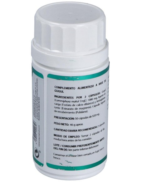 Holofit Ayurveda Guggul 50Cap.