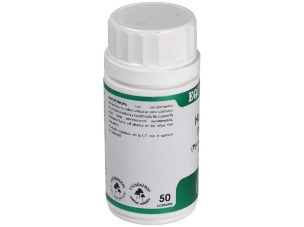 Holofit Pino (Pycnogenol) 50Cap.