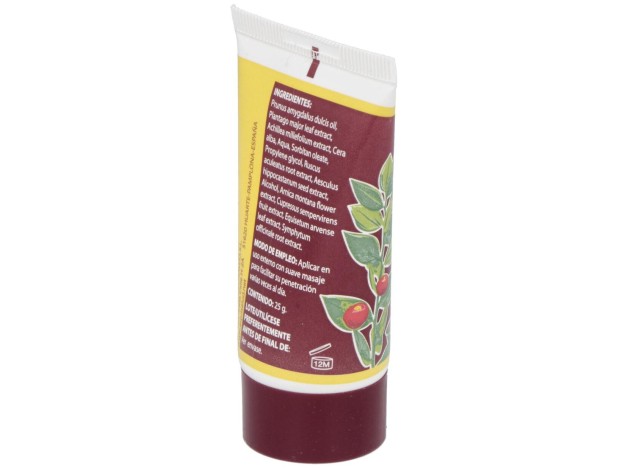 Cerato Ruscus 25Gr.
