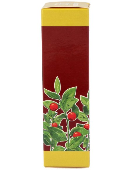 Cerato Ruscus 50Gr.